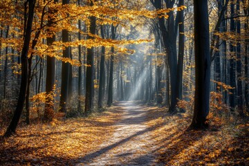 A tranquil forest trail is adorned with golden autumn leaves as soft sunbeams break through the canopy, illuminating the peaceful surroundings. Nature thrives in this serene environment