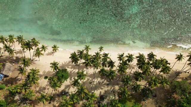 Wide aerial panorama of Playa Front&oacute;n with cliff shadows falling across a secluded beach, framed by vivid rainforest and turquoise sea