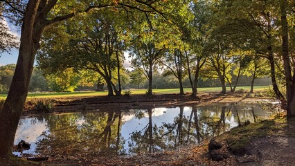 A Trail near Barnet England