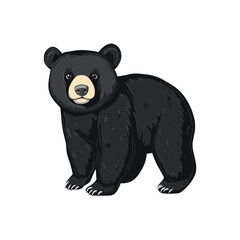 Black Bear's Portrait: A captivating illustration of a robust black bear, set against a stark backdrop, showcasing the animal's distinctive features in striking detail.
