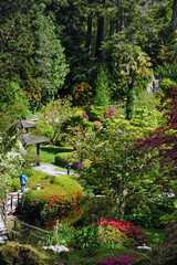 Powerscourt Japanese garden in County Wicklow, Ireland