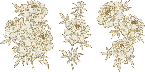 Vector set of gold line japanese, chinese flowers illustrations. Peonies vintage elegant art, wedding ornament, asian botanical graphic
