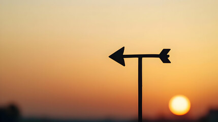 Silhouette Wind Vane At Sunset