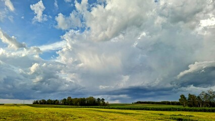 Obraz premium green field and blue sky