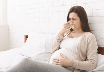 Seasonal flu. Pregnant woman suffering from snotty nose, lying in bed, empty space