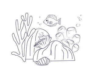 underwater world of the ocean. The bottom of the sea with fish algae shells and corals. Vector stock illustration. Isolated on white background. 