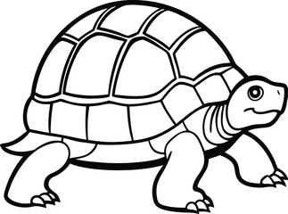 Box Turtle Illustration  A Detailed Line Drawing of a Dome-Shelled Reptile Slowly Crawling