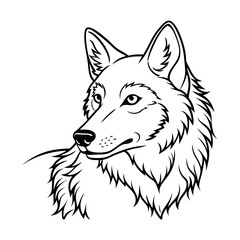 Fototapeta premium Eurasian Wolf Profile Detailed Line Art Illustration of a Wolf Looking Sideways, Showcasing Intricate Fur Details