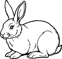 Majestic Flemish Giant Rabbit Illustration Large Breed, Line Art, Animal Drawing