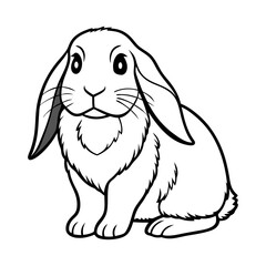 Adorable Holland Lop Rabbit Illustration A Charming Line Drawing of a Floppy-Eared Bunny
