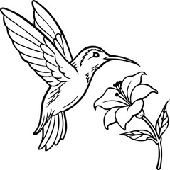 Elegant Hummingbird Illustration Line Art of a Hummingbird Hovering Near a Flower