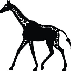 Obraz premium Elegant Silhouette of a Walking Giraffe African Safari Animal Vector Illustration