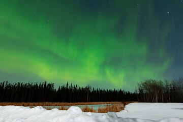 A breathtaking night scene showcasing the vibrant aurora borealis dancing across the starry sky above a serene, snow-covered lake, with a dense forest silhouetted in the background, northern winter la