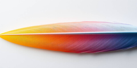 Close-Up of Vibrant Rainbow Parrot Feathers 