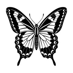 Elegant Black and White Swallowtail Butterfly Illustration  Symmetrical Wings, Detailed Design, Nature Art