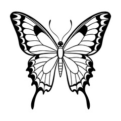 Elegant Line Art Swallowtail Butterfly Symmetrical Wings, Detailed Illustration