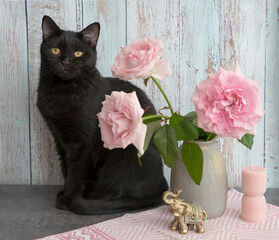 Black cat sitting next to a bouquet of pink roses in a gray vase
