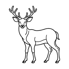 Majestic White-Tailed Deer with Antlers Line Art Illustration
