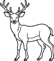 Majestic White-Tailed Deer with Antlers Line Art Illustration of a Buck in its Natural Forest Habitat