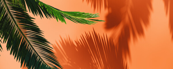 Summer concept background. Palm leaf and coral colored wall background with copy space. 3D Rendering, 3D Illustration