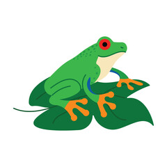 Green tree frog with red eyes sitting on tropical leaf. Exotic rainforest amphibian animal in flat vector style. Isolated on white background. Great for jungle and nature design.