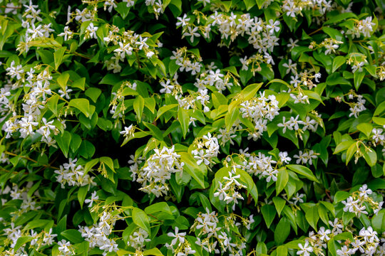 Кім ақшасыз жыныстық қатынасты қалайды