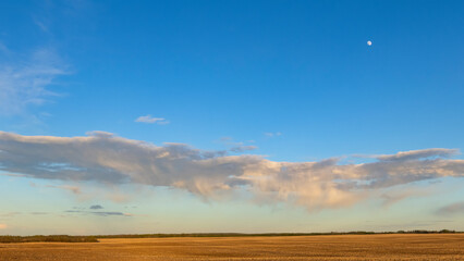 A scenic rural landscape capturing a freshly seeded agricultural field under a dramatic cloudy spring sky, raining in the horizon.