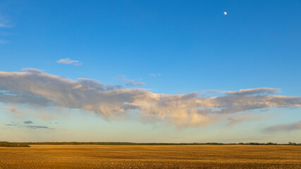 A scenic rural landscape capturing a freshly seeded agricultural field under a dramatic cloudy...