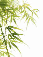 Fototapeta premium Bamboo leaves and branches on light background. Vector illustration with natural foliage. Asian botanical and zen concept. Image for poster and banner. Side view with copy space.