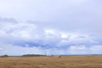 Early spring in the rural area, seeded field with last year stubbles and cloudy dark blue sky, raining in the horizont.