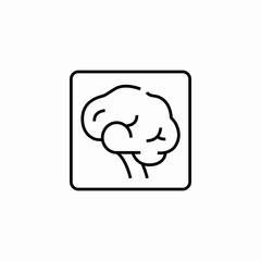 brain scan icon sign vector