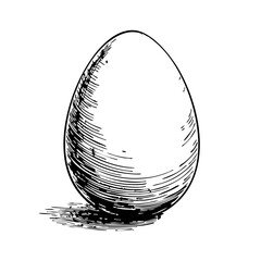 Vintage sketch of a simple egg illustration in black and white  