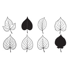 Diverse collection of elegant black and white leaf illustrations for nature and botanical designs