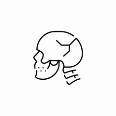 skull fractured head icon sign vector