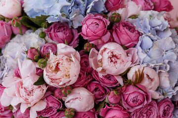 Romantic Pink Blue Floral Arrangement: Stunning Peony Rose Bouquet, Close-Up, Soft Hues, Luxury Wedding Flowers, Delicate Pastel Style.