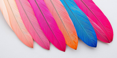 Close-Up of Vibrant Rainbow Parrot Feathers 