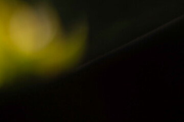 The color sci-fi background, wallpaper, banner for advertising