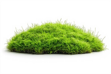 Green Grass Texture - Eco-Friendly Natural Landscape for Spring Gardening and Organic Growth