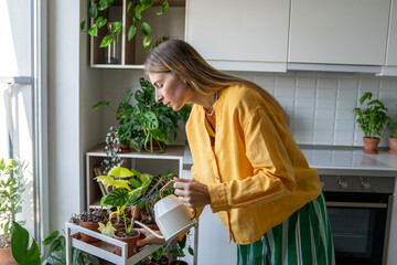 Woman pour water in flower pot with indoor houseplant on cart from watering can. Enthusiastic...
