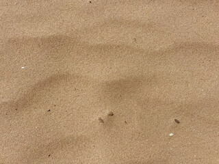 Close-Up of Fine Sand Texture from Dutch Coastal Dunes in Natural Light
