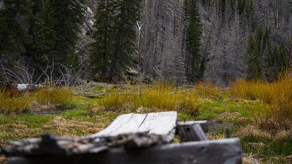 Strawberry Reservoir and Strawberry River © Travis