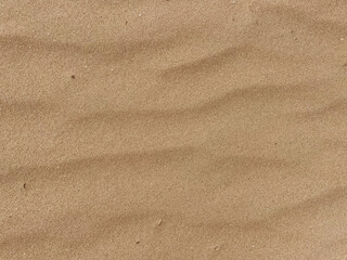 Wind-Sculpted Sand Ripples Texture Close-Up from Dutch Coastal Dunes, Background