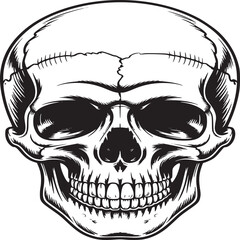 Detailed monochrome skull illustration with smoke effect on a plain white background centered view