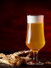 Cold beer glass on dark red background with copy space