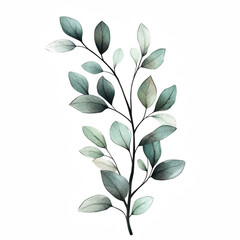 Boho Hand-Drawn Botanical Twig with Oval Leaves