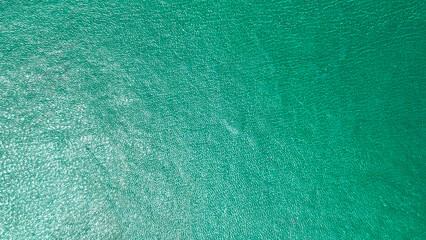 shiny green leather texture with smooth surface and vibrant glossy finish