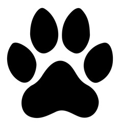 Paw Print Icon: A simplified illustration of a paw print, perfectly representing a cat, dog, or any other animal in a clean, minimalist design.