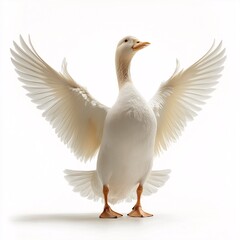 Graceful White Duck with Colorful Plumage. Majestic Portrayal of Domesticated Wildlife in Nature