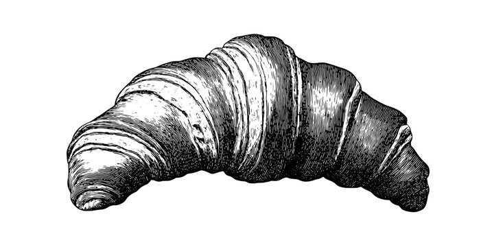 Elegant vintage engraved illustration of a croissant showcasing artisanal craftsmanship and traditional baking techniques