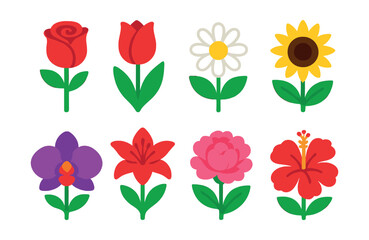 Flat vector icons of flower types: rose, tulip, daisy, sunflower, orchid, lily, peony, hibiscus.